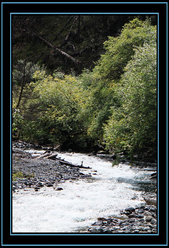 nEO_IMG_��Ƭ 591.jpg