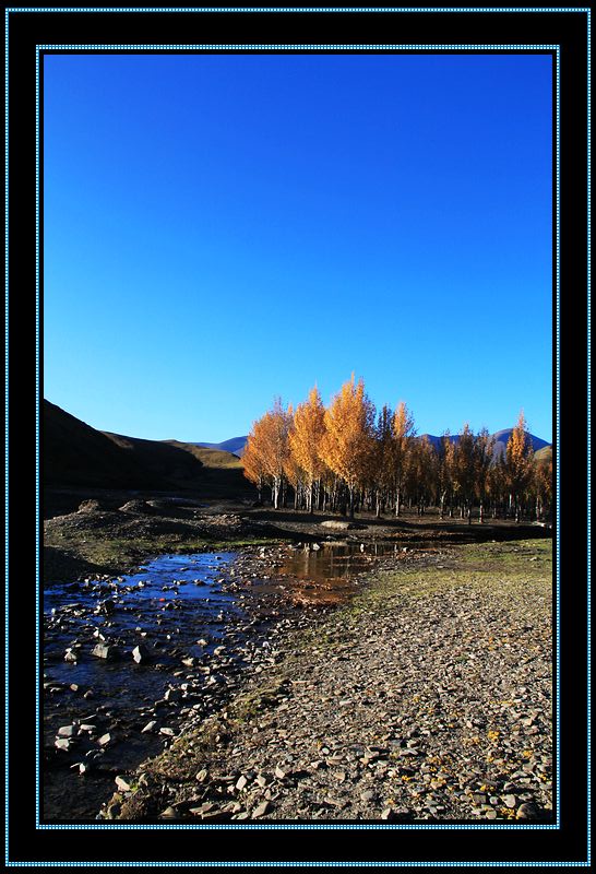 nEO_IMG_��Ƭ 895.jpg