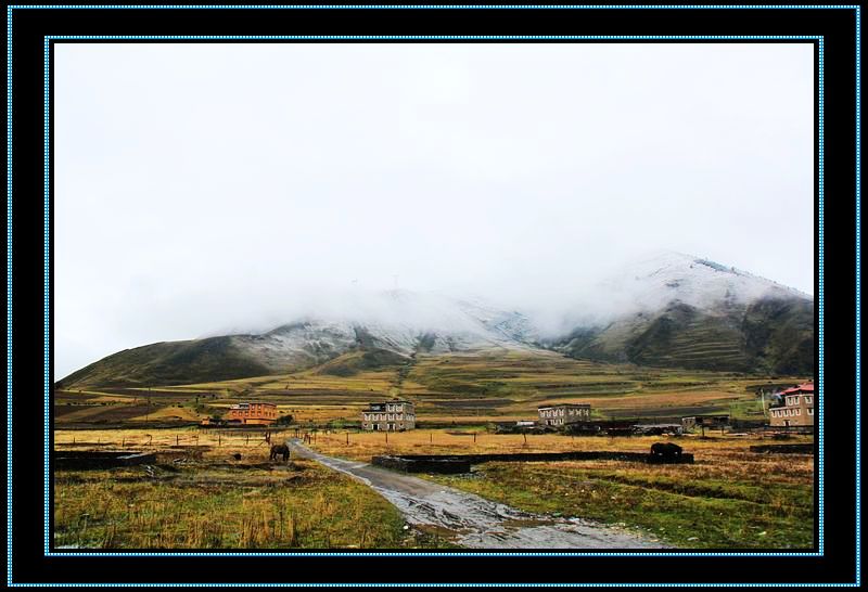 nEO_IMG_��Ƭ 1109.jpg