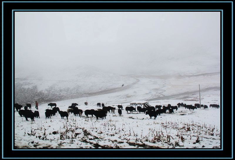 nEO_IMG_��Ƭ 1075.jpg