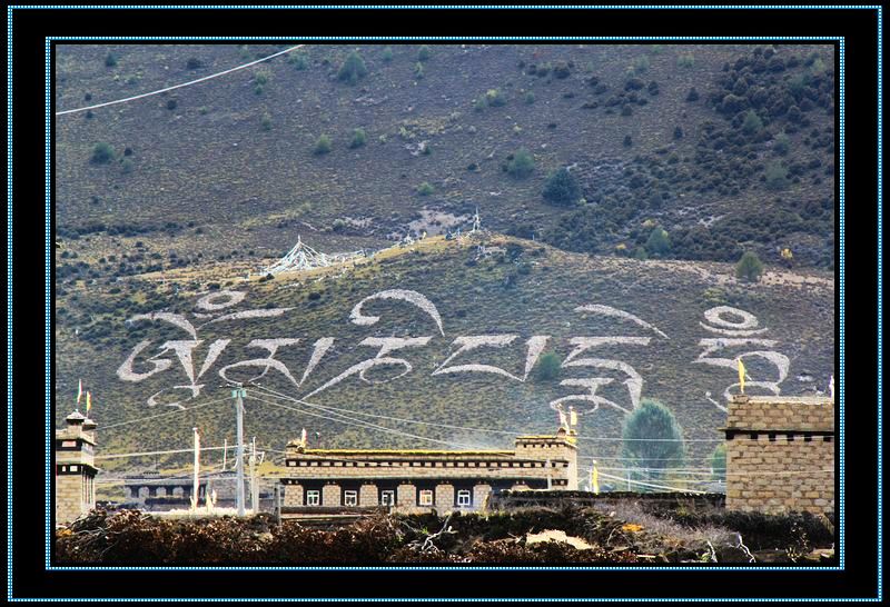 nEO_IMG_��Ƭ 846.jpg