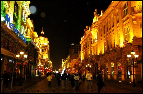 ҹɫ������