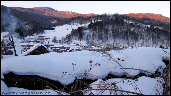 ������ѩ2