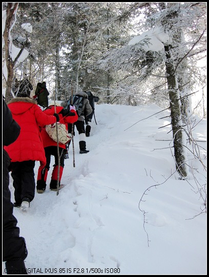 �Ƕ�����