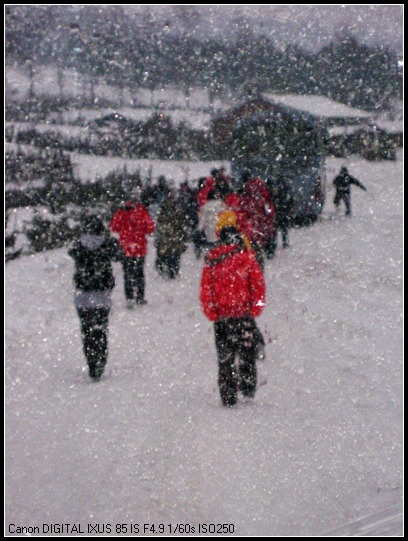 ����·����ѩ