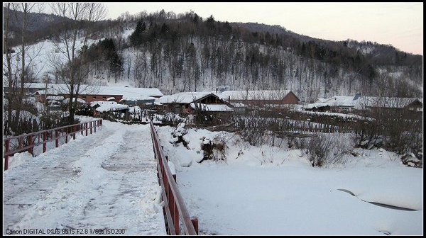 ������ѩ