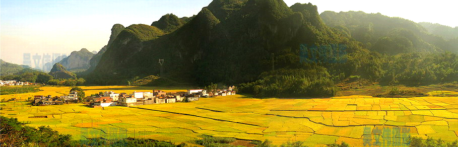 888888822222 copy.jpg