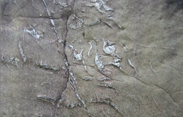 Զ��ʱ��Ѱ�����룿