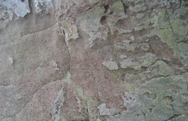 Ѱ����ͼ��