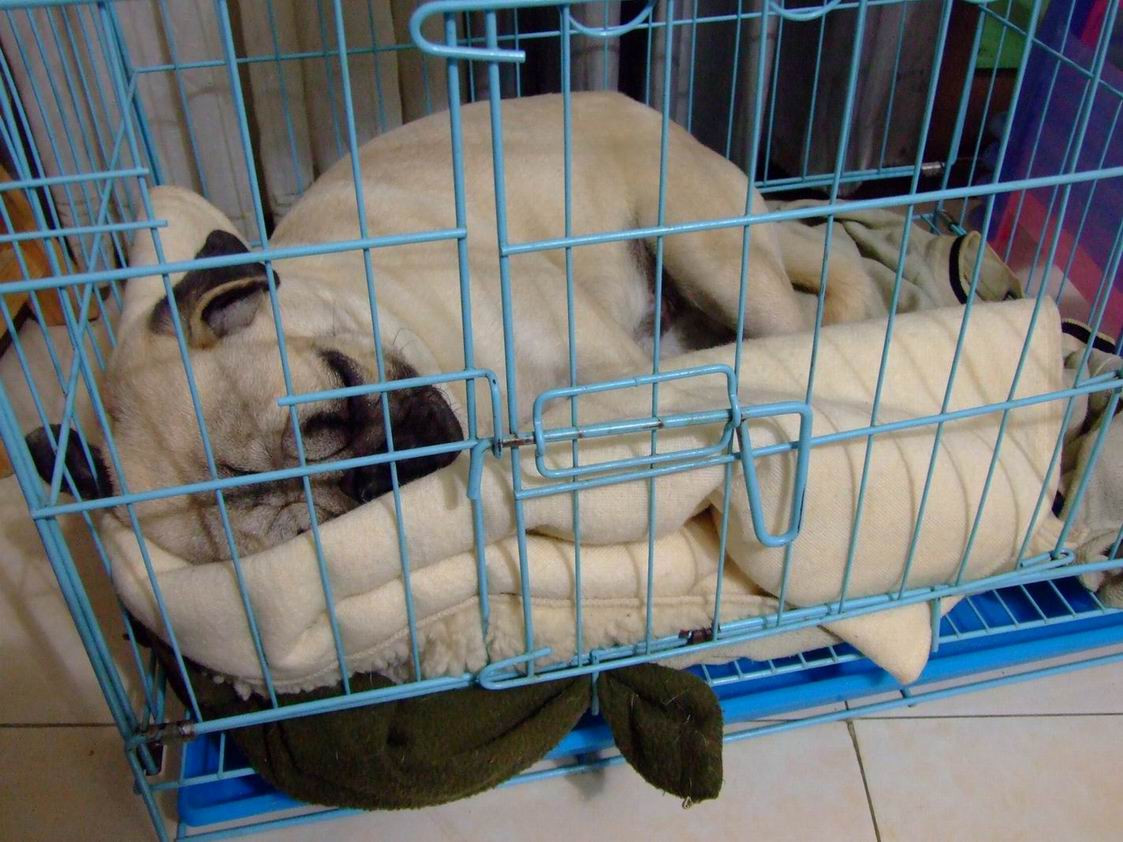 ������С ������С DSCF1451.jpg