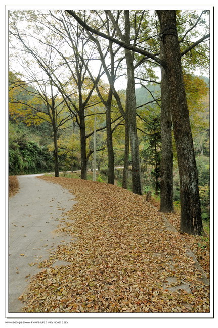 101117��ɽ���� 089_������С.jpg