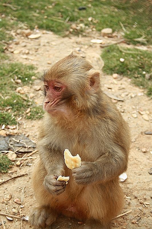 ţ����֮�� 032.jpg