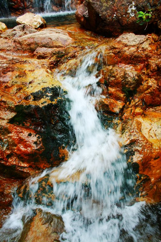 ţ����֮�� 066.jpg