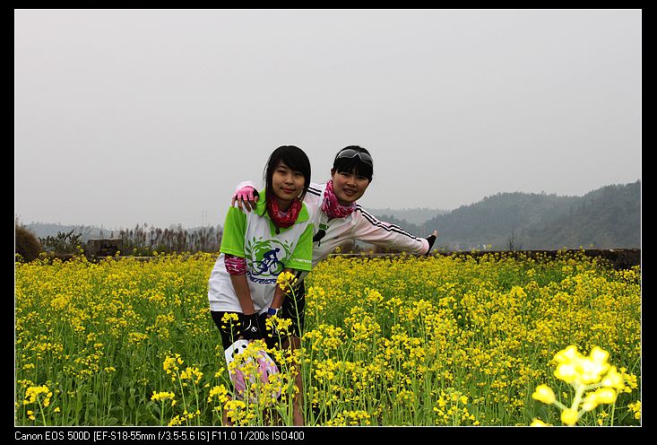 ������ 120.jpg