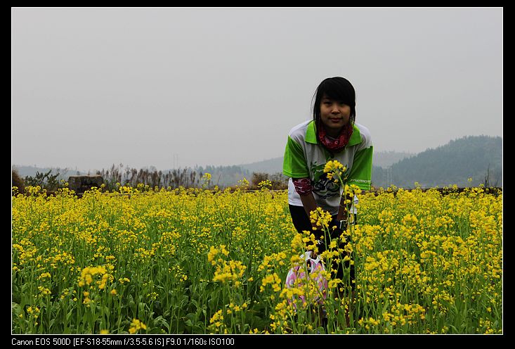 ������ 118.jpg