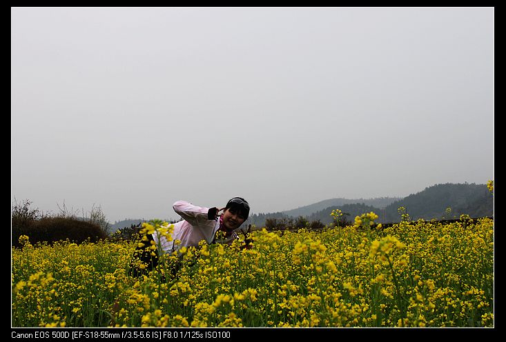 ������ 117.jpg