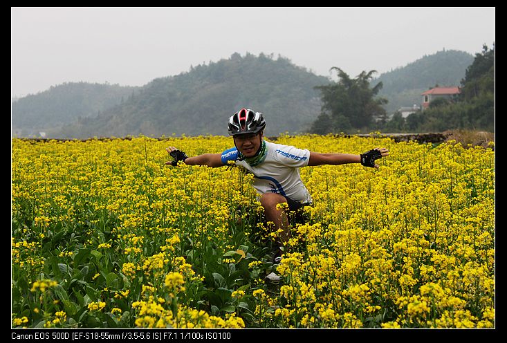 ������ 113.jpg