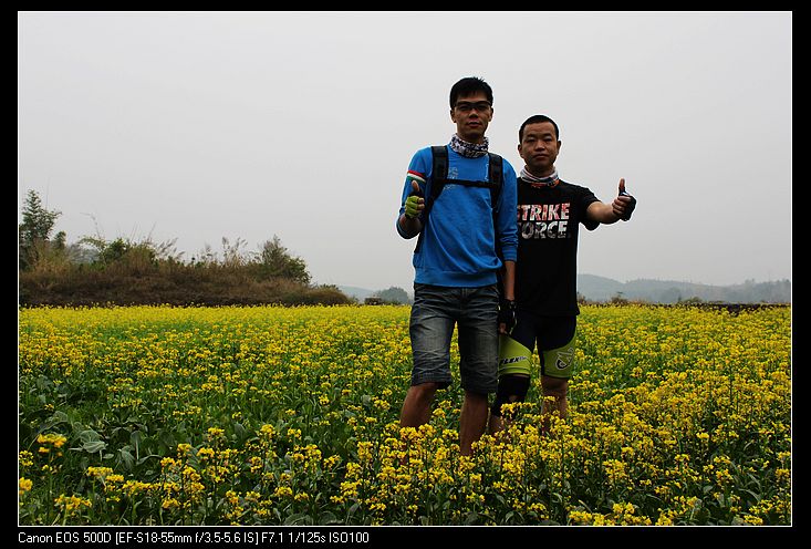 ������ 124.jpg