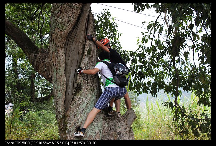 ������ 135.jpg