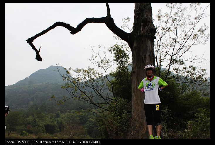 ������ 140.jpg