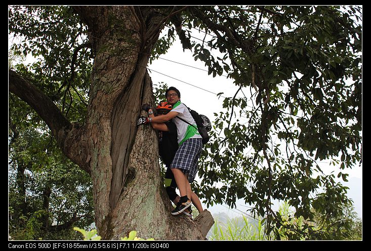 ������ 136.jpg