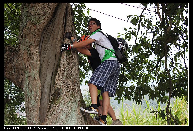 ������ 137.jpg