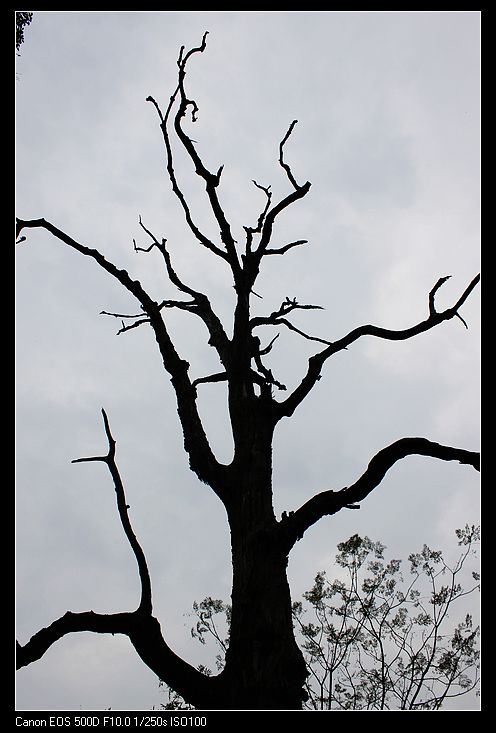 ������ 139.jpg