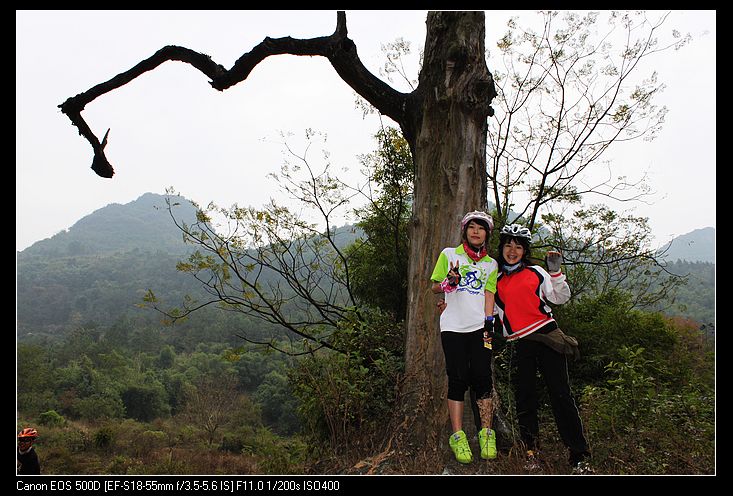 ������ 141.jpg