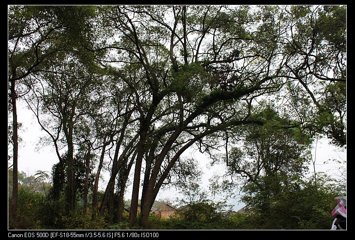 ������ 163.jpg