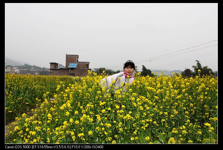 ������ 209.jpg