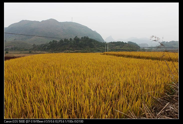 ������ 225.jpg