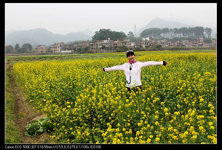 ������ 210.jpg