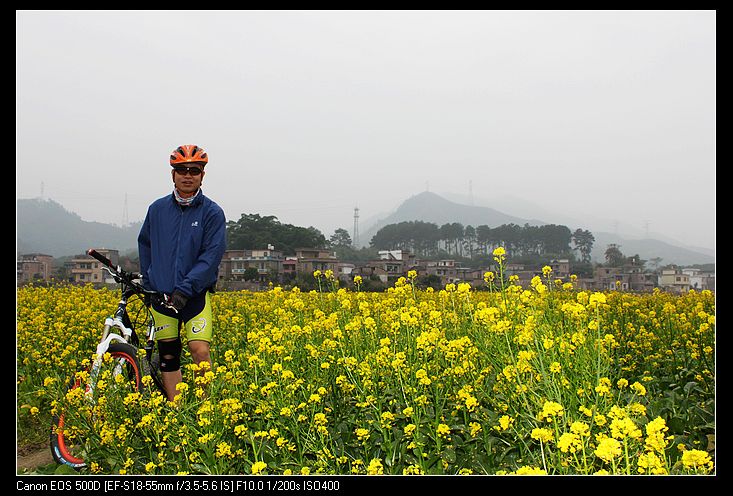 ������ 208.jpg