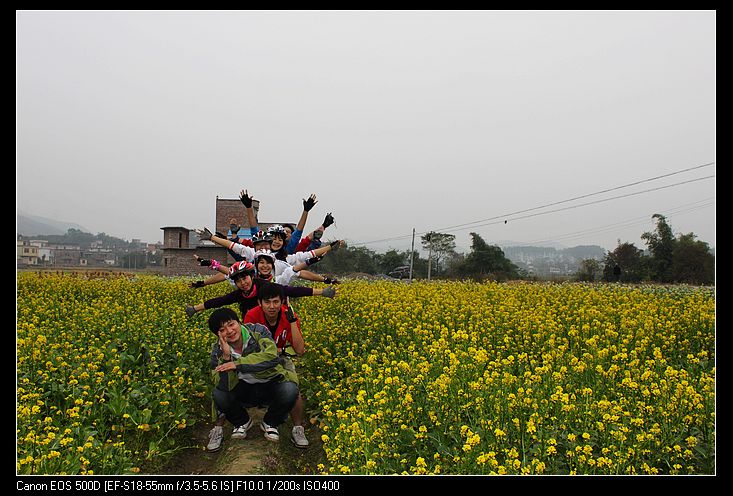 ������ 217.jpg