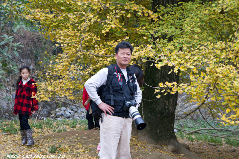 ����ͷ��W,ɢ������������Ҫ��ʮ�깦�����Ͱ���