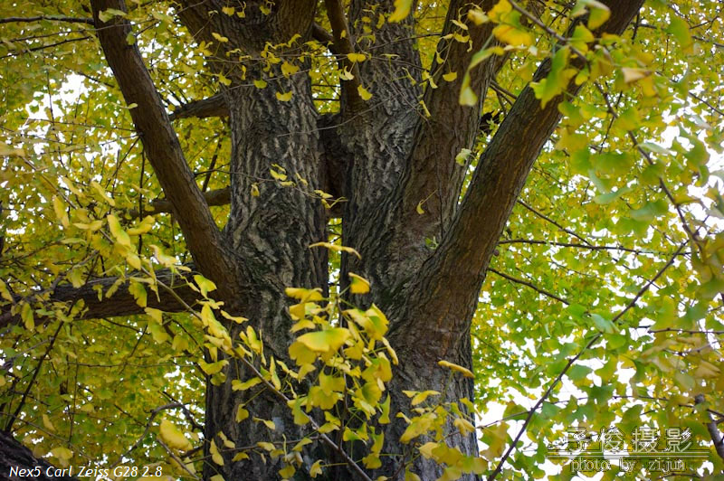 �����������һ�ӭ���ǵ���