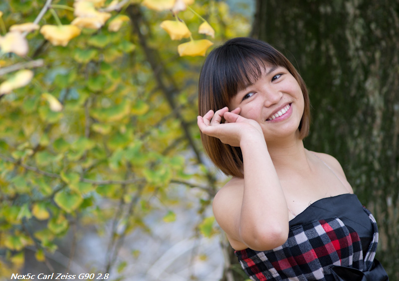 ��ϵ�е���ϵ������˼