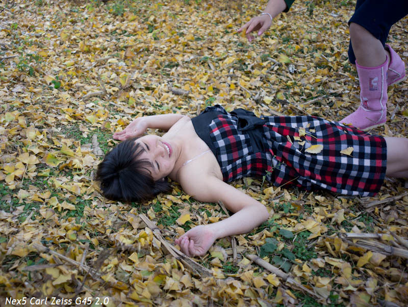 ��ϵ�ú����Ѽܣ�