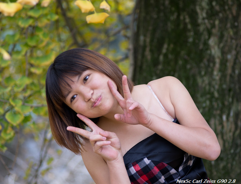 ��ʼ�����