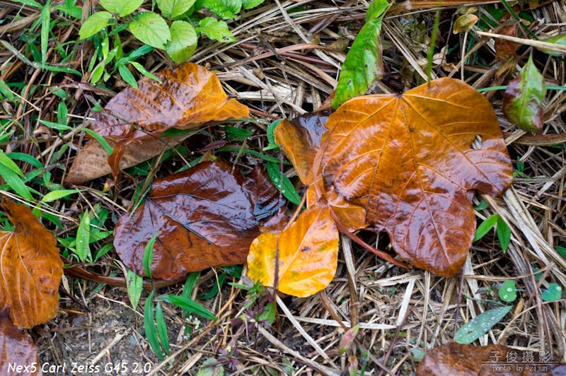 �����ɫ��