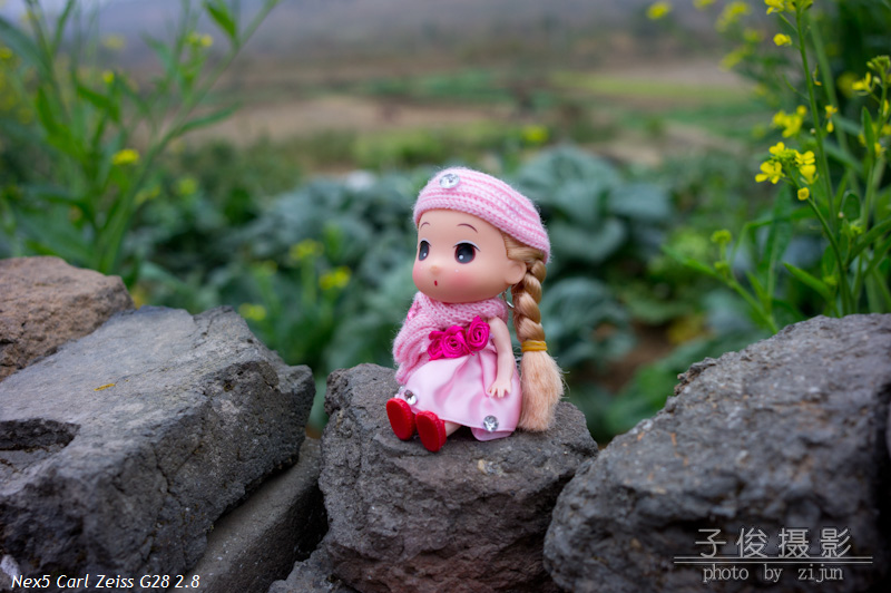 MT��������Ҿ����¹���