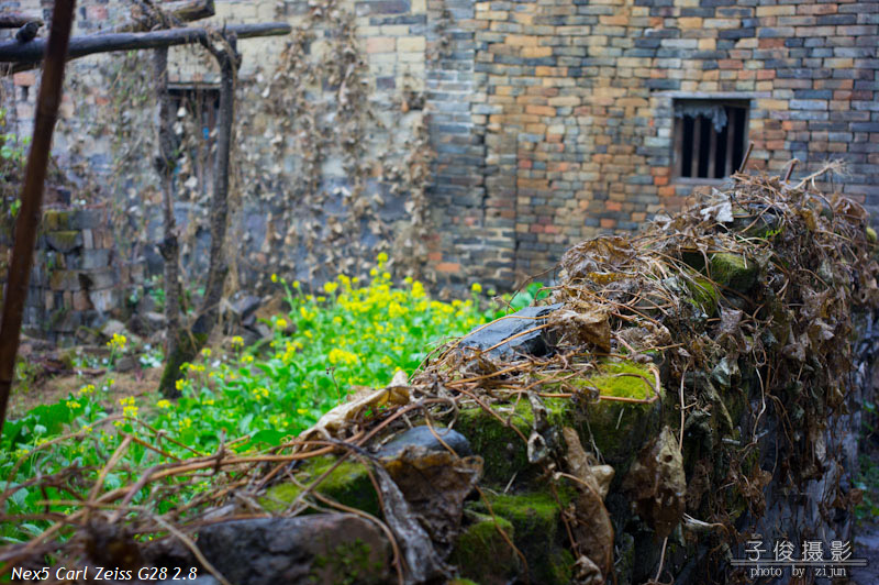 ��л��ң���л�����ִ��죬��л��tvb,���ж������У�ħŮ����չ�СŮ������Сƻ������ɫ��ģ�ء�����