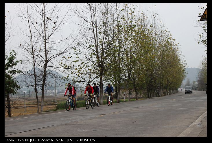 ������ 377.jpg