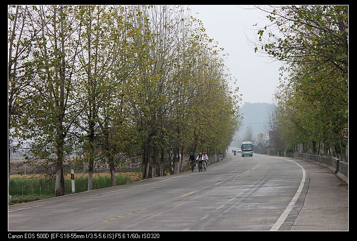 ������ 384.jpg