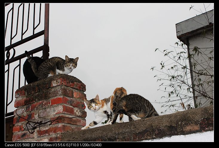 ������ 470.jpg