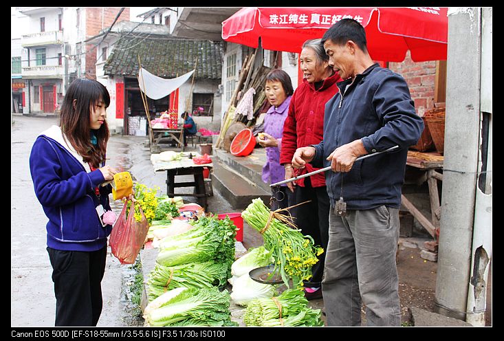 ������ 478.jpg