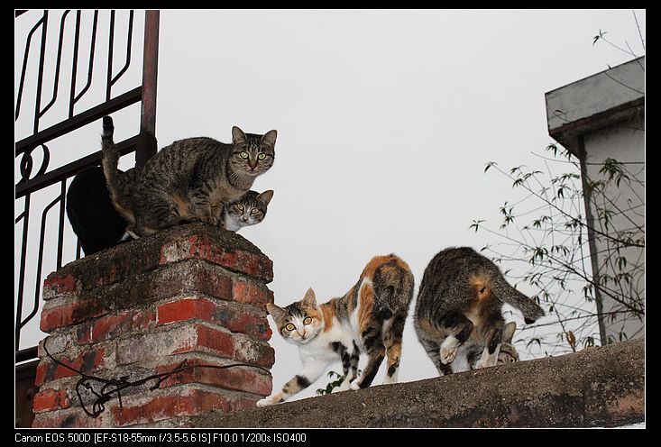 ������ 469.jpg