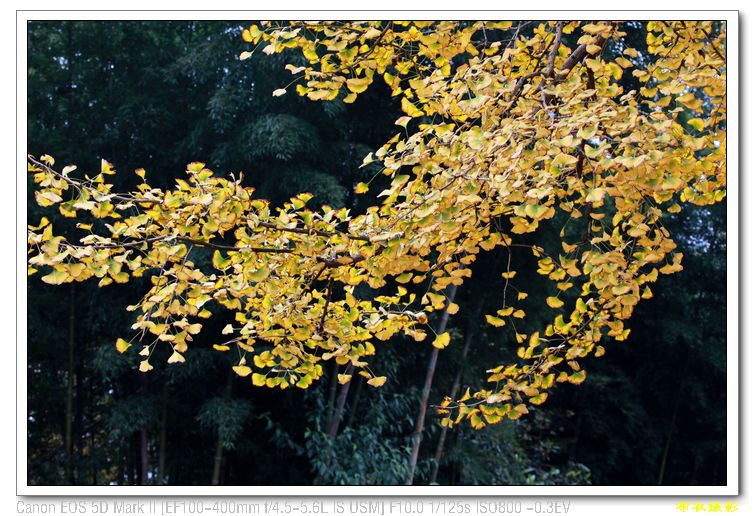 nEO_IMG_��Ƭ 393.jpg