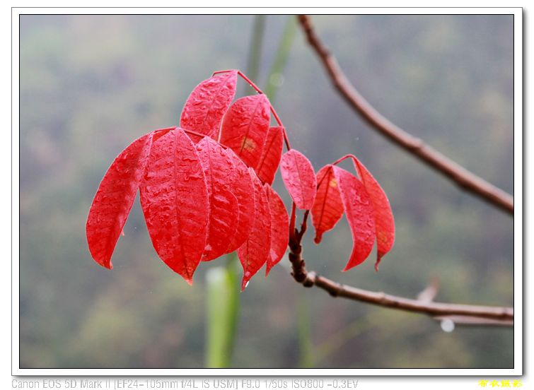 nEO_IMG_��Ƭ 576.jpg