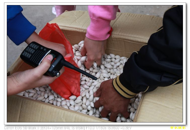 nEO_IMG_��Ƭ 339.jpg